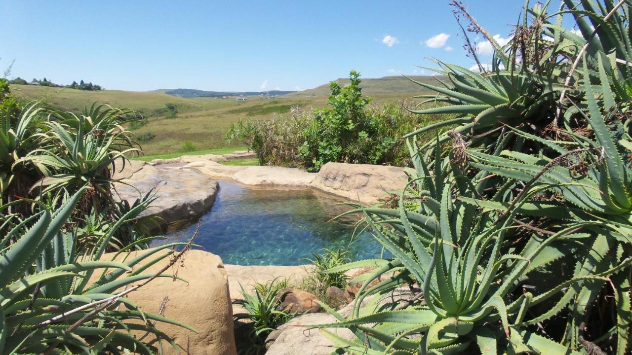 Wits End Mountain Resort Champagne Valley Esterno foto